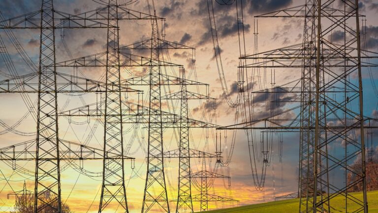 Welke elektrische onkruidbrander is de beste?